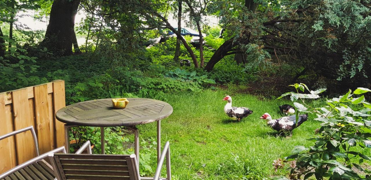 Rust En Stilte In De Natuur Onstwedde Zewnętrze zdjęcie