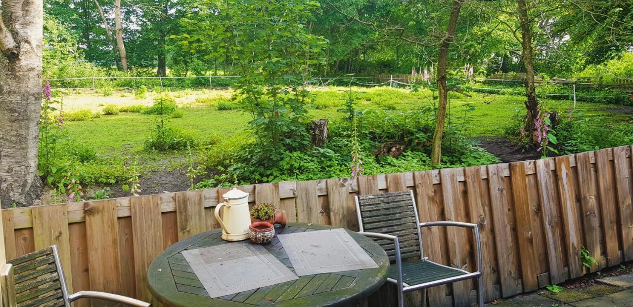 Rust En Stilte In De Natuur Onstwedde Zewnętrze zdjęcie