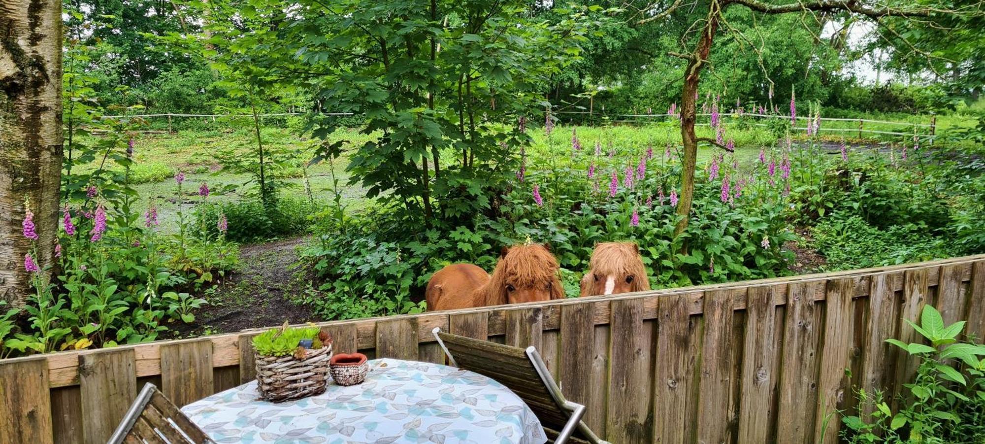 Rust En Stilte In De Natuur Onstwedde Zewnętrze zdjęcie